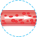 b2-1-2-1-1.png